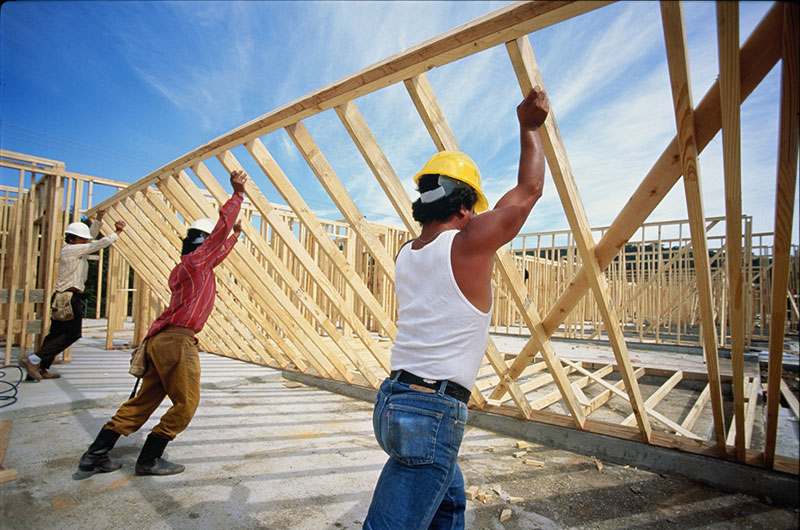 Praesent aliquet tortor